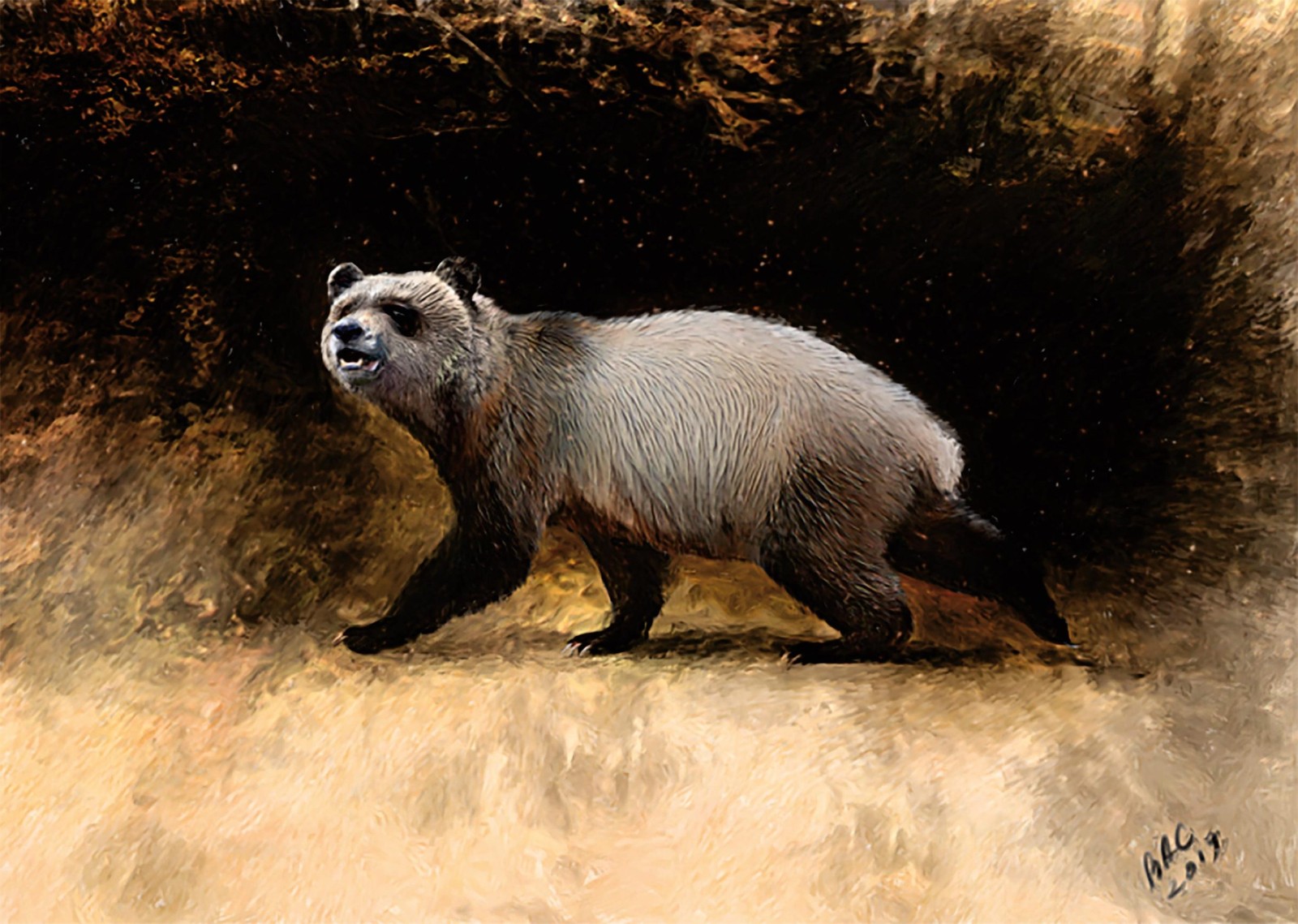最后一只欧洲大熊猫600万年前生活在保加利亚的森林湿地中