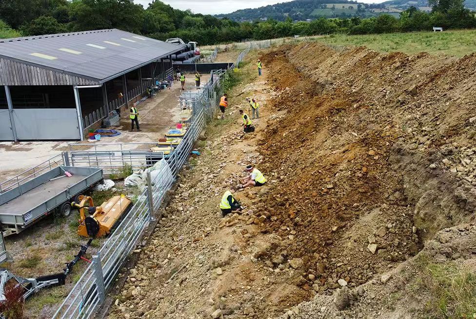 �����ֳ�