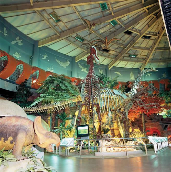 河南自然博物馆内“一比一”比例还原的恐龙骨架