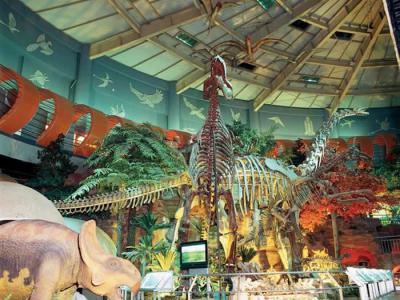 河南自然博物馆里陈列着亿万年前的秘密