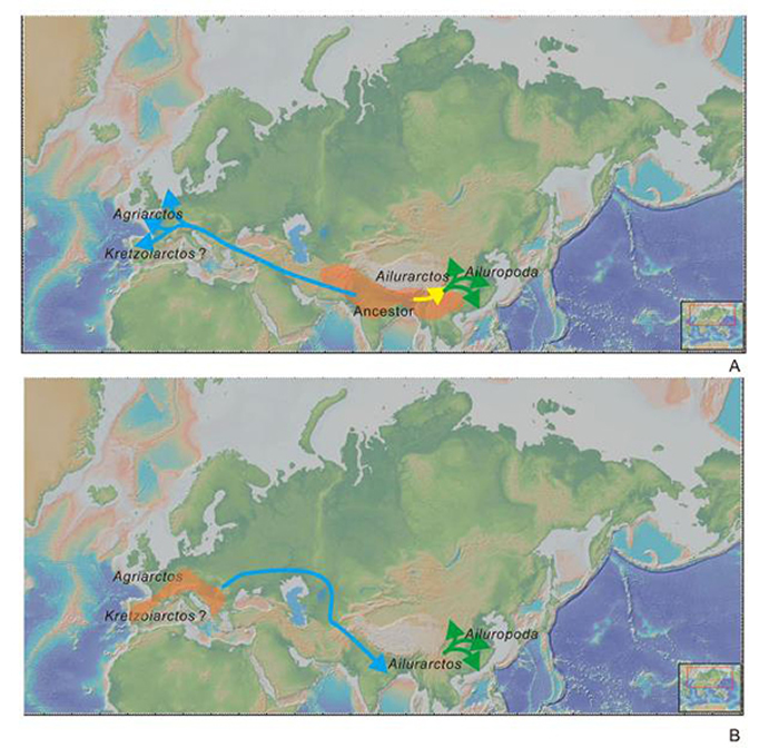 �������Ƿ���ʷǰ����è�������Ͻ���è��ʾ����è�������ݻ���Ǩ��