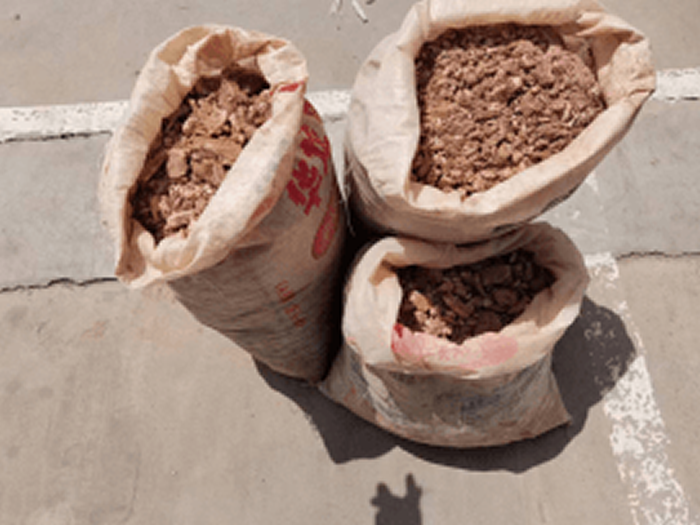 泾川公安成功打掉一个盗掘古脊椎动物化石犯罪团伙