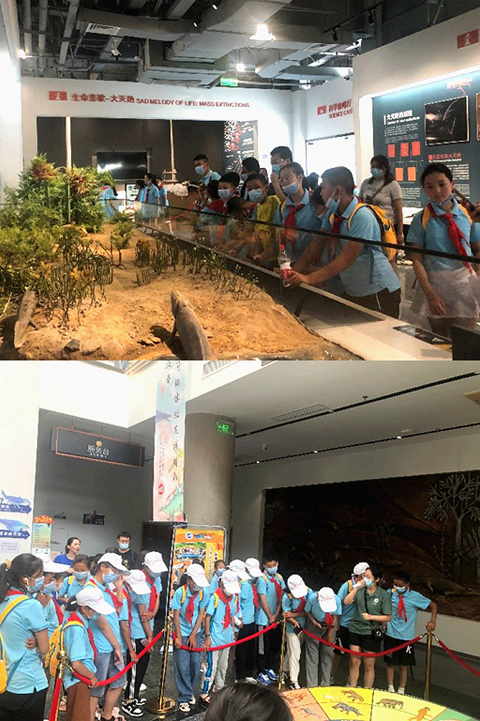 江苏新疆西藏青海手拉手夏令营参观南京古生物博物馆