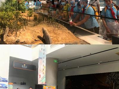 江苏新疆西藏青海手拉手夏令营参观南京古生物博物馆