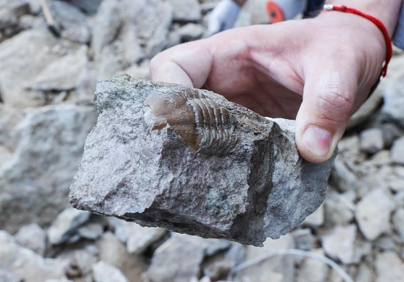 ����˹�������յ������Ź����﹫԰ �ο��л����ھ��������ǧ����ǰ�Ļ�ʯ