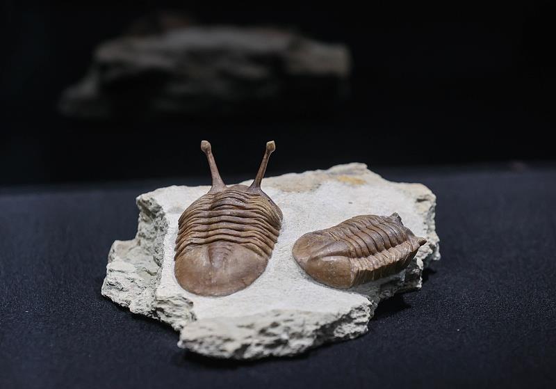 ����˹�������յ������Ź����﹫԰ �ο��л����ھ��������ǧ����ǰ�Ļ�ʯ