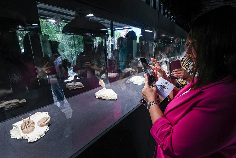 ����˹�������յ������Ź����﹫԰ �ο��л����ھ��������ǧ����ǰ�Ļ�ʯ