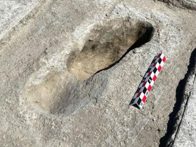1.2万年前冰河时代人类足迹化石为了解北美洲最早期人类居民的情况提供新线索