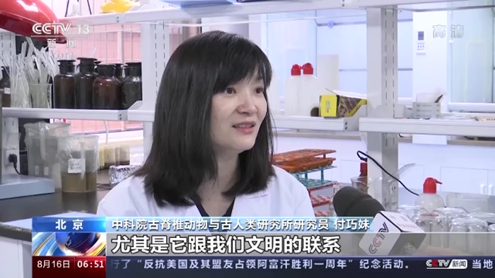 �ܶ��ߡ����ഺح�����ã������Ȱ� ����Ŵ������������