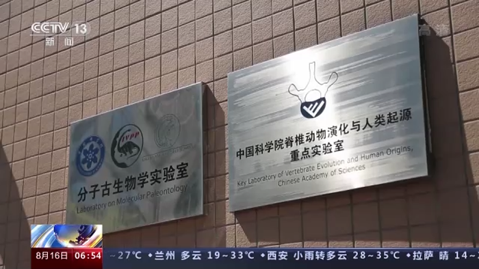 �ܶ��ߡ����ഺح�����ã������Ȱ� ����Ŵ������������