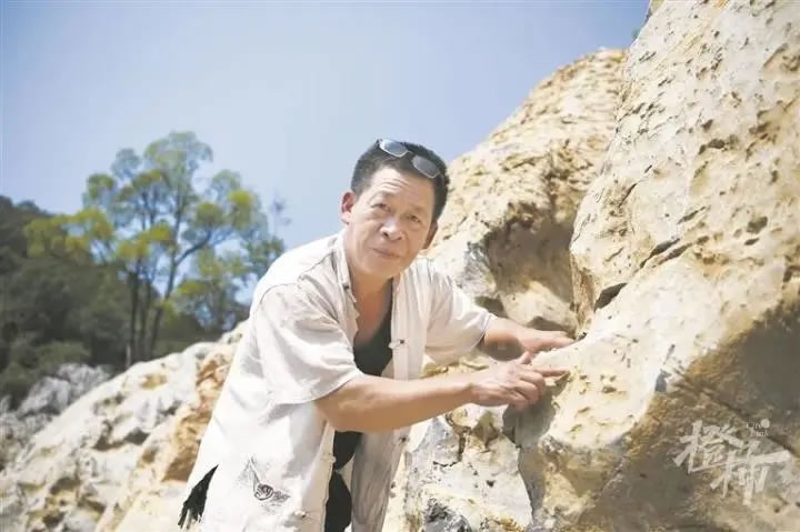 ������ɽ���ֺ������ﻯʯ�����������������ھ�ס�ĵط�����һƬ������