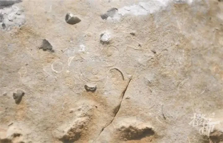 ������ɽ���ֺ������ﻯʯ�����������������ھ�ס�ĵط�����һƬ������