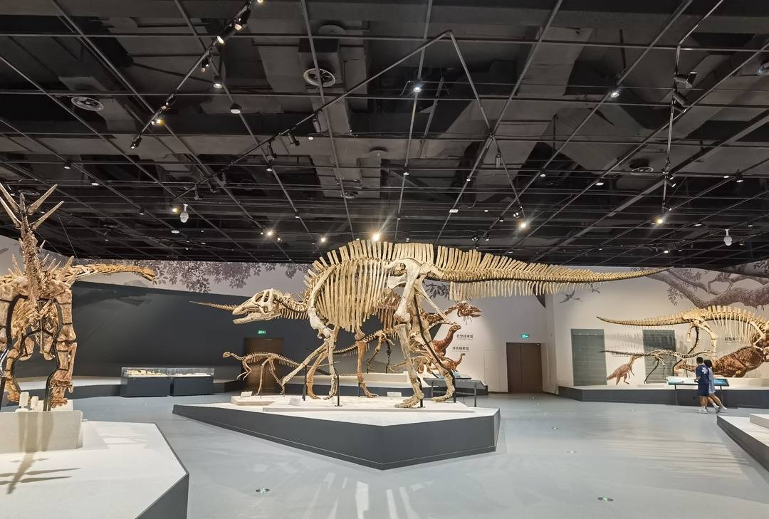 走嘛,成华大道看恐龙去!成都自然博物馆即将亮相