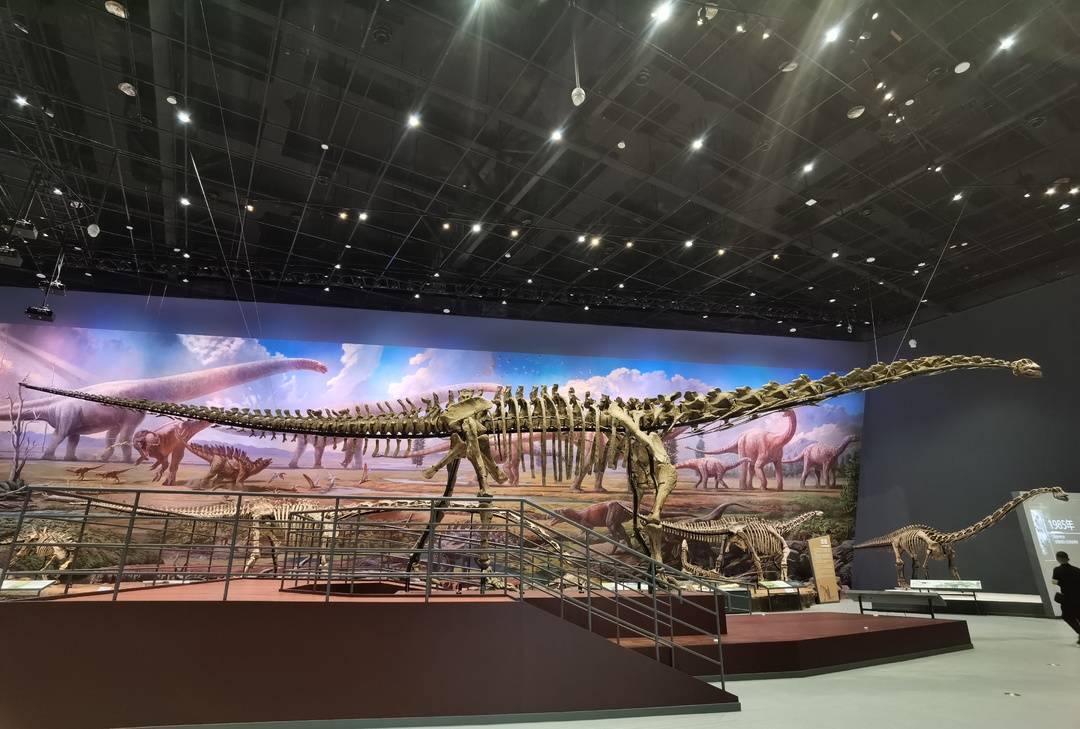 走嘛,成华大道看恐龙去!成都自然博物馆即将亮相