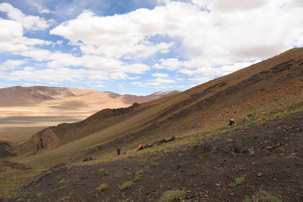 �п�Ժ�Ͼ����ʹ������о������Ĺ���ظ�ԭ�ƿ�ͻ���������ؽ���Ұ��ƿ�