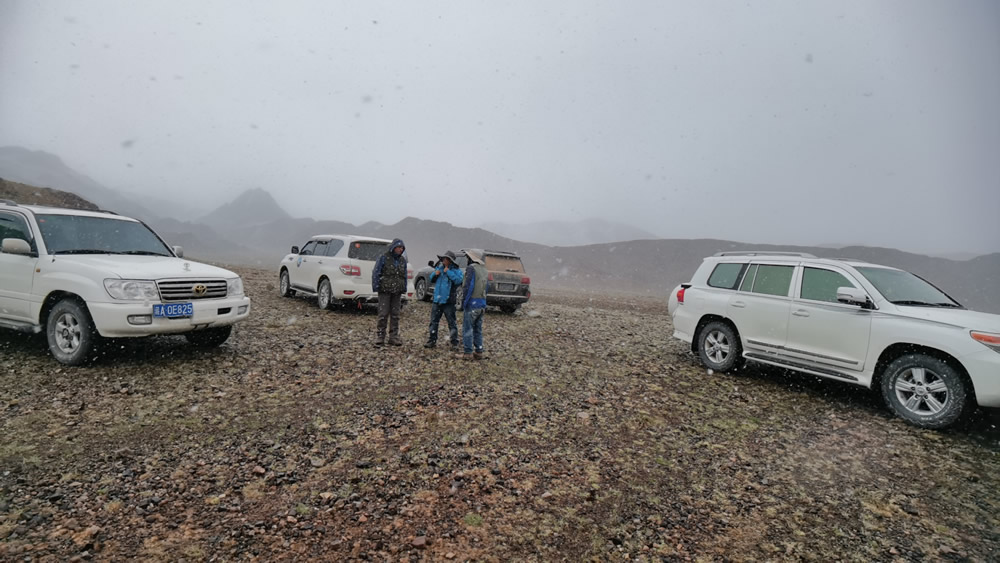 �п�Ժ�Ͼ����ʹ������о������Ĺ���ظ�ԭ�ƿ�ͻ���������ؽ���Ұ��ƿ�