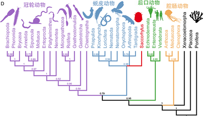 ���Ϸ���5.35����ǰ΢�廯ʯ�����ҳ桱 ��Ƥ�����幹��Դ�о�ȡ����Ҫ��չ