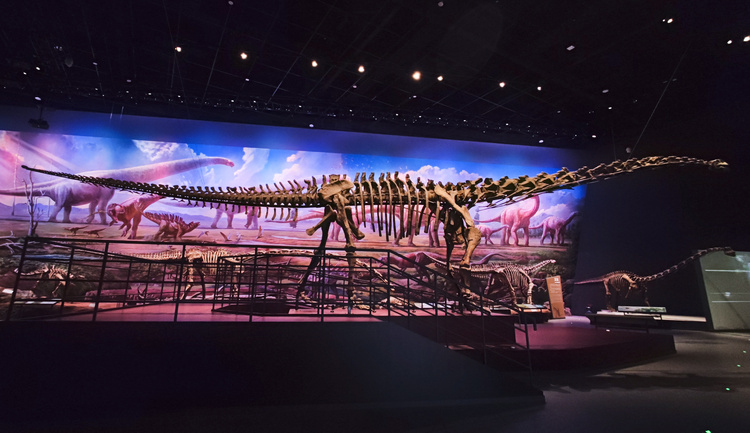 �ɶ���Ȼ����ݣ��ɶ�������ѧ����ݣ����ڽ�����ʽ���� ���Կ���ϡ������ʯ