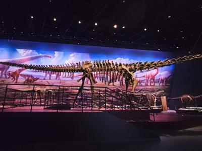 成都自然博物馆（成都理工大学博物馆）将于近期正式开馆 可以看珍稀恐龙化石