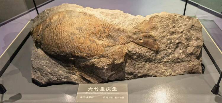 �ɶ���Ȼ����ݣ��ɶ�������ѧ����ݣ����ڽ�����ʽ���� ���Կ���ϡ������ʯ