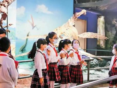 走进澄江化石地世界自然遗产博物馆感受自然遗产魅力