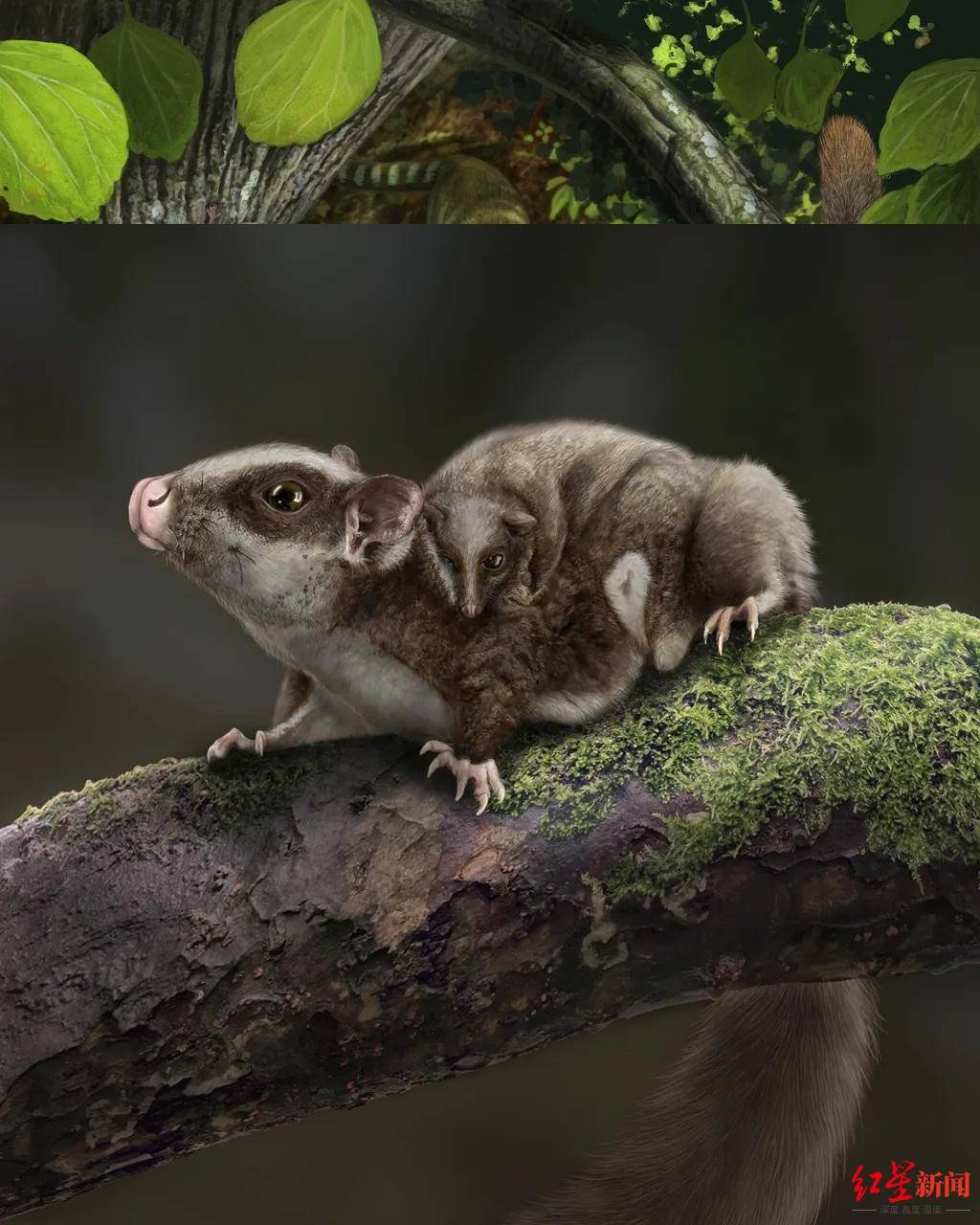 ����ڵ��򼫶�ʱ�̡���������������ѧ�ң���С�����ڣ����׳�