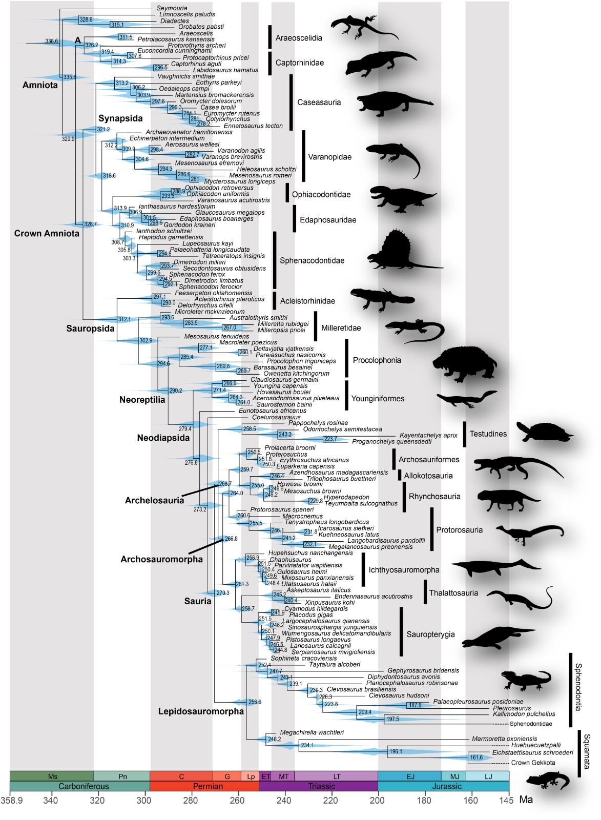 �о���ʾ���ж���ʱ���Ŀ�ʼ������ͺ�������֮�������仯�й�