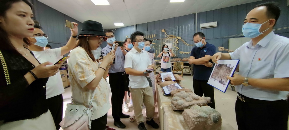 �㶫��Դ�����µĿ�������ʯ���֡������Ƹ����ε�