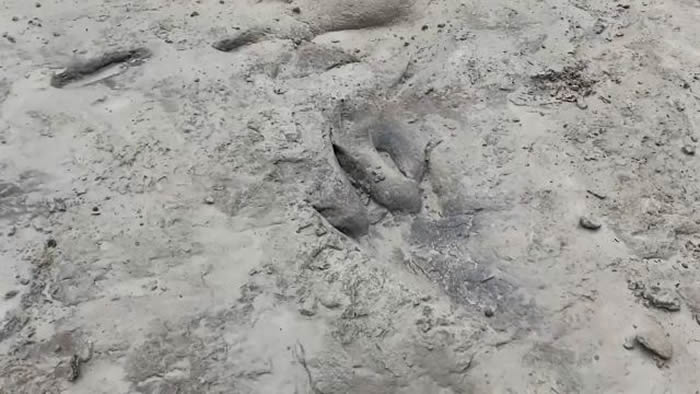 �����ÿ���˹�ݴ� ������������԰1.13����ǰ�����㼣��ʯ�ؼ�����