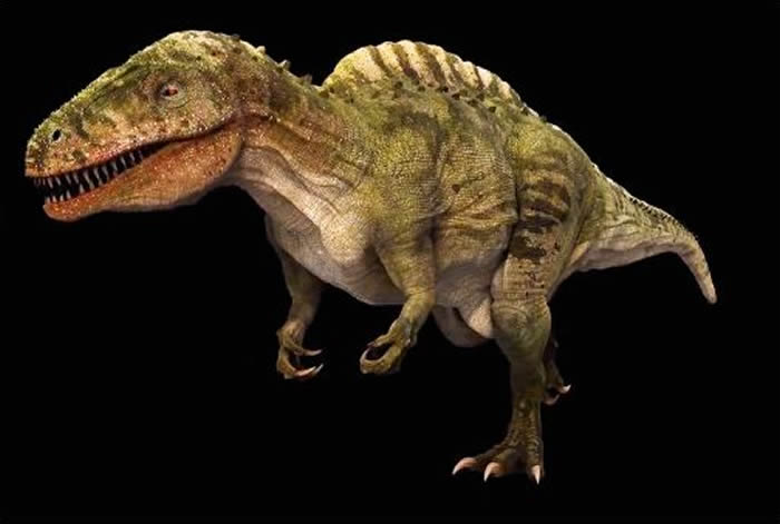 �����ÿ���˹�ݴ� ������������԰1.13����ǰ�����㼣��ʯ�ؼ�����