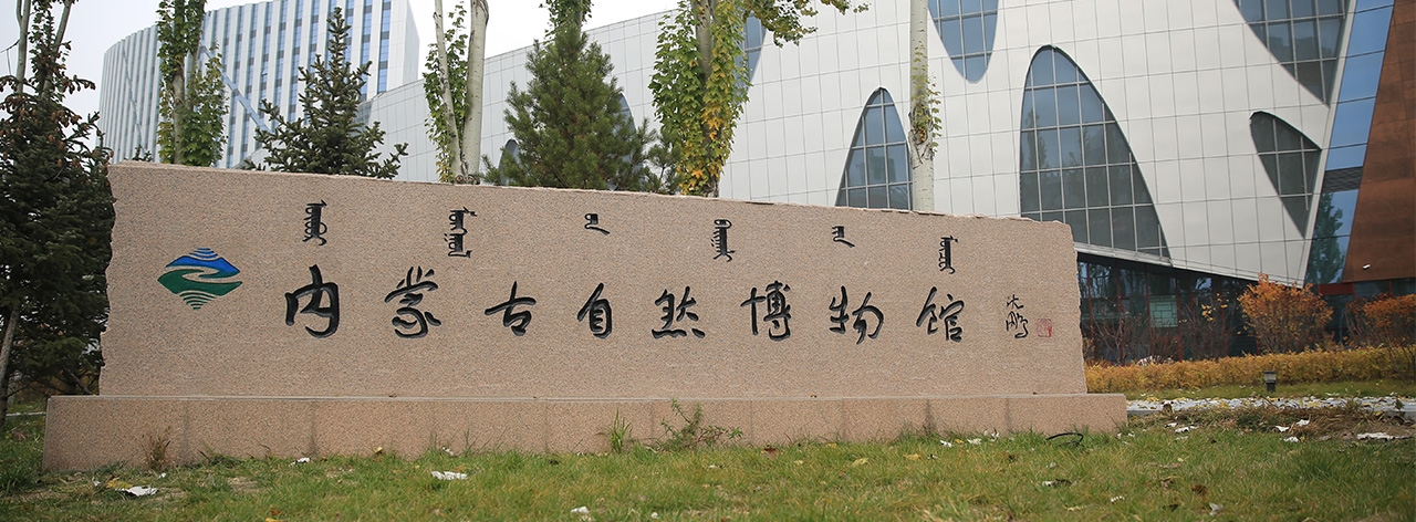 ���ɹ���Ȼ����ݳ�Ϊ���ɹ�������Ҫ�򿨵�