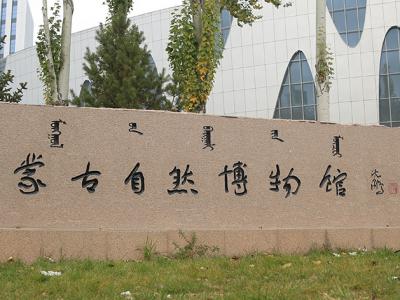 内蒙古自然博物馆成为内蒙古旅游重要打卡地