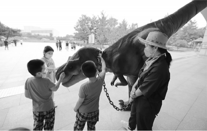 ��������ʯ���ҵ��ʹ�԰���ܻ�ʯ����