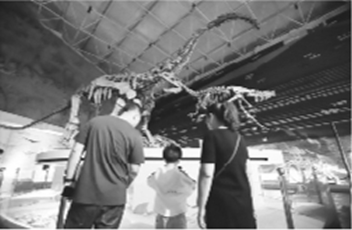 ��������ʯ���ҵ��ʹ�԰���ܻ�ʯ����