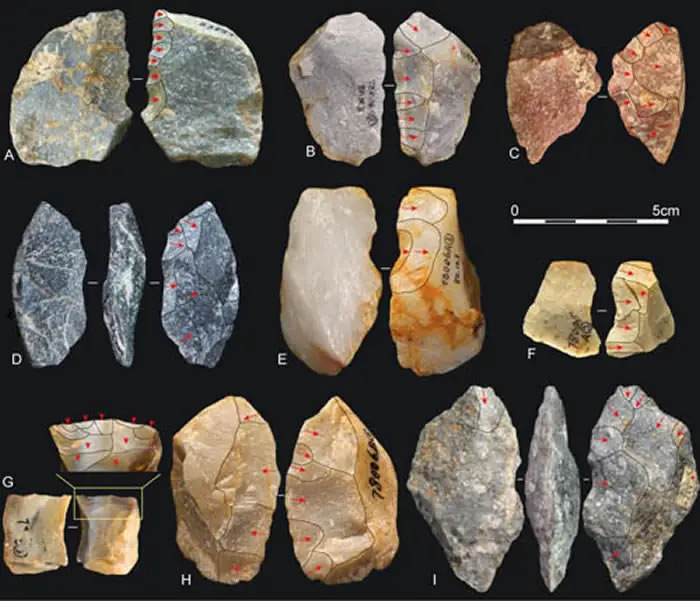“大荔人”遗址出土石器