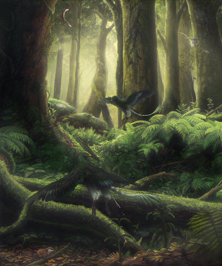 �Ⱥ���������Ϊʳ����ѧ�Ҿ������󵼡�20��