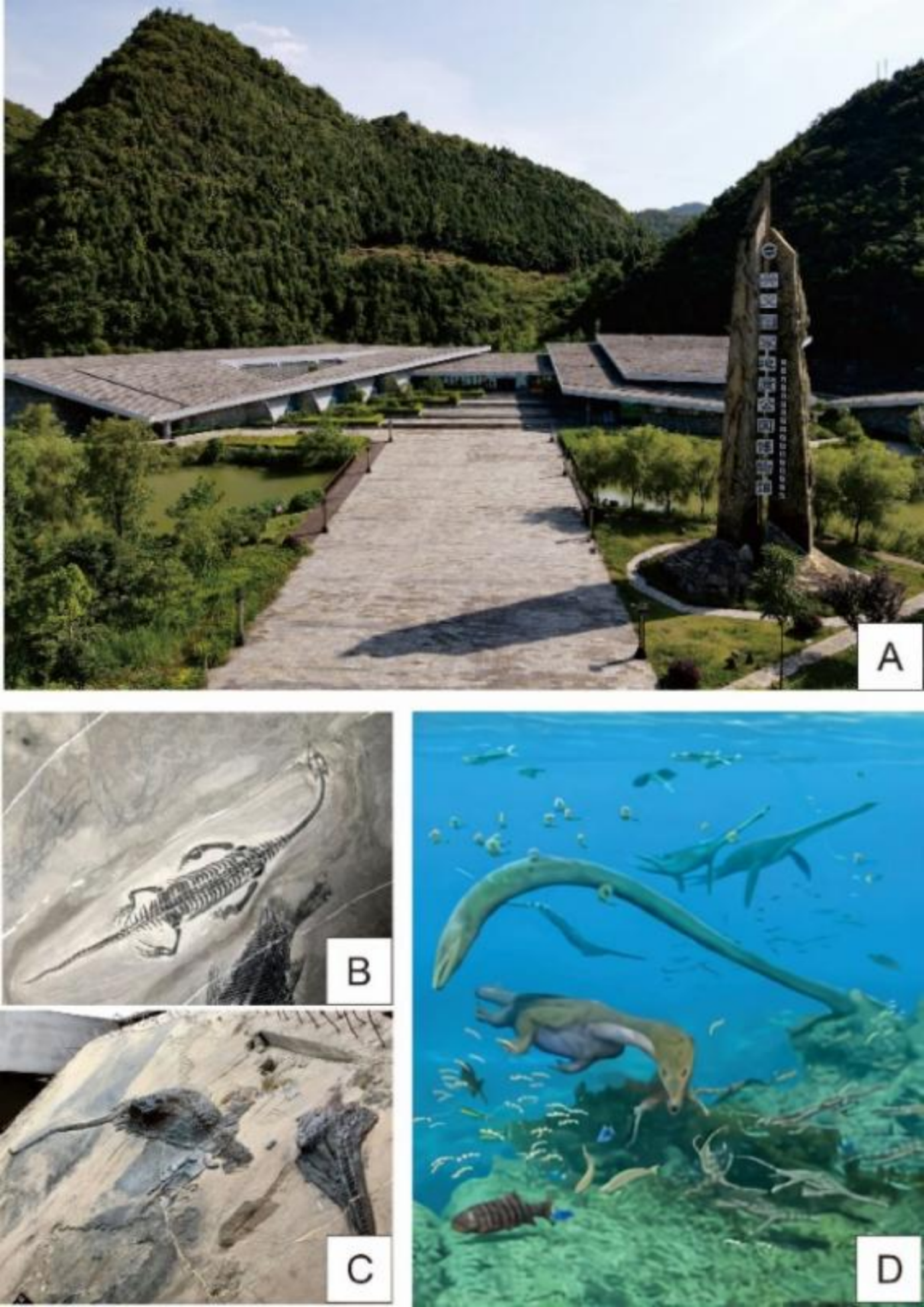 ��������ѧԺ�����й�����ѧ�ᾫƷ��ѧ·��