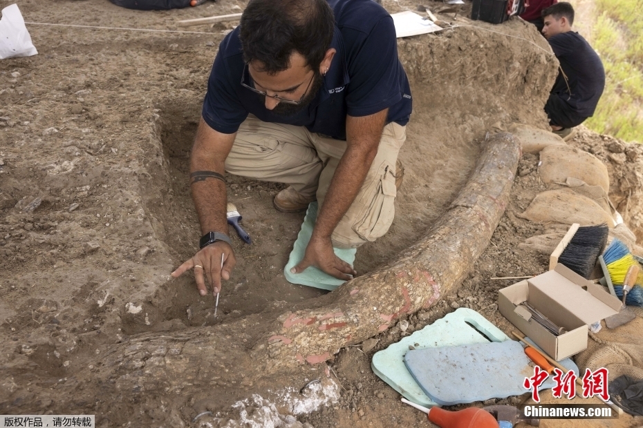 ��ɫ�г���50����ǰ������ʯ