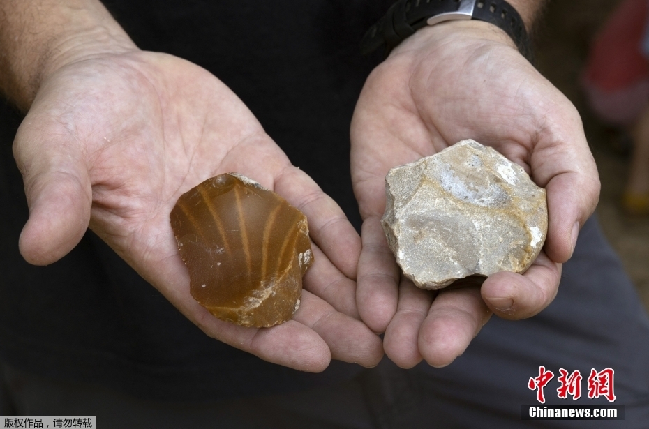 以色列出土50万年前象牙化石