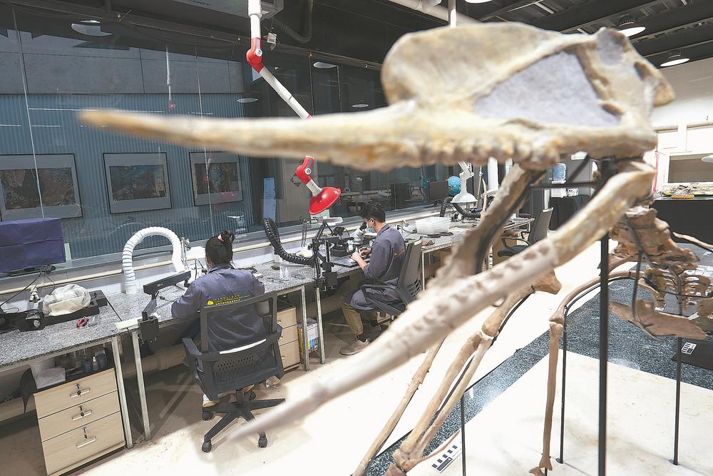 Ӣ��ʯ����Ȼ��ʷ����� һȺ�ػ������ݻ���ʷ��������