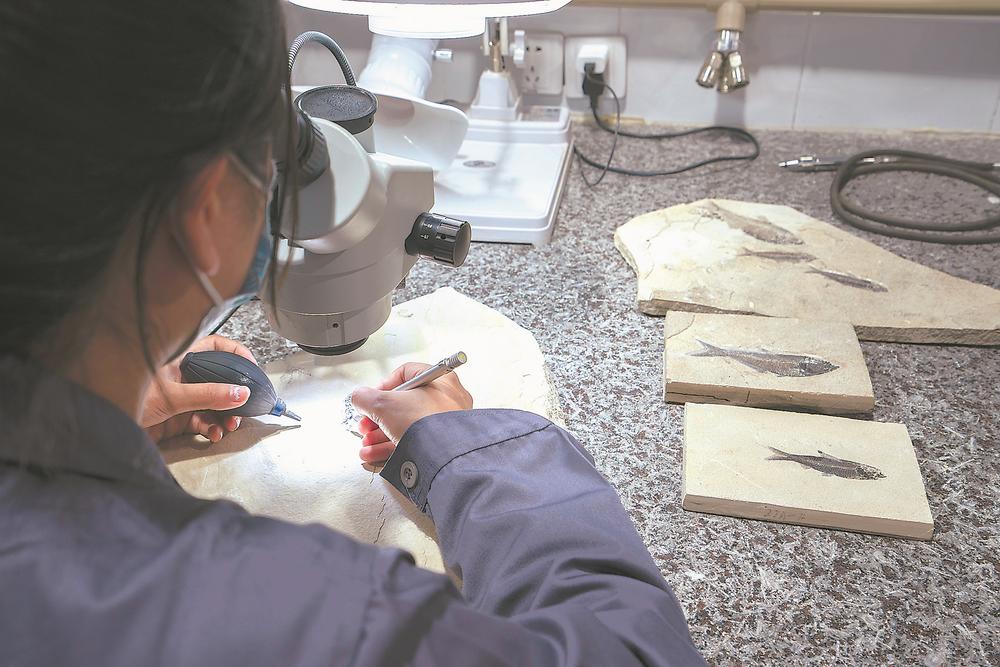 Ӣ��ʯ����Ȼ��ʷ����� һȺ�ػ������ݻ���ʷ��������