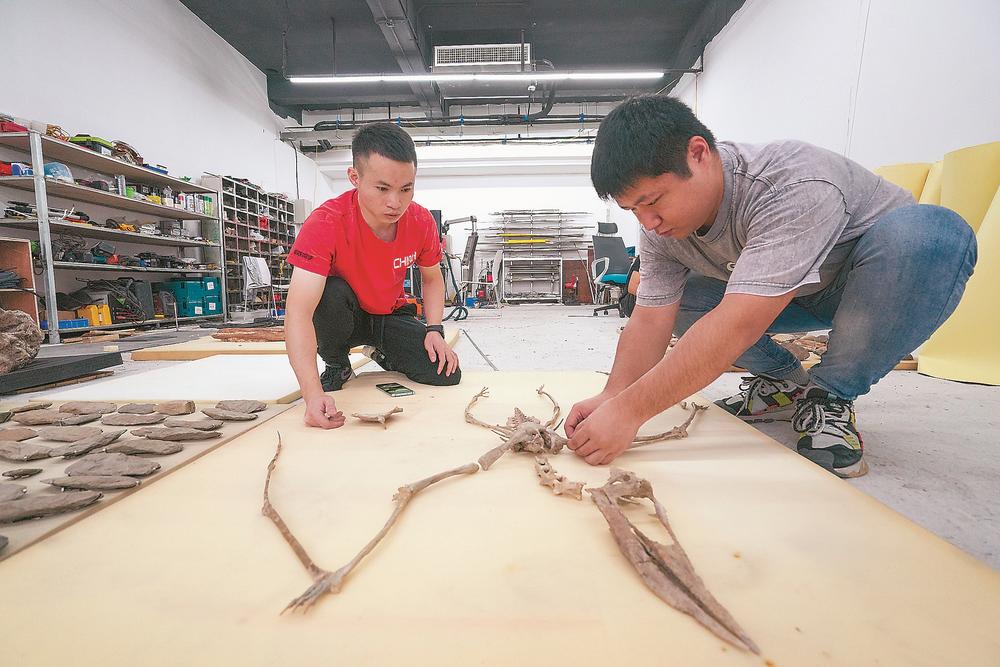 Ӣ��ʯ����Ȼ��ʷ����� һȺ�ػ������ݻ���ʷ��������