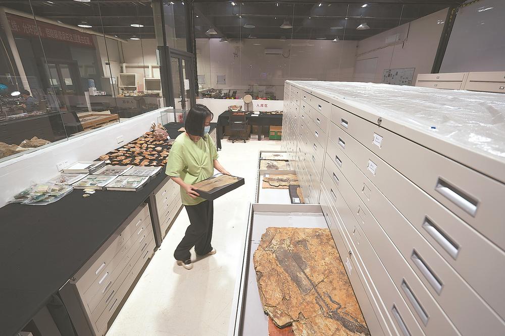 Ӣ��ʯ����Ȼ��ʷ����� һȺ�ػ������ݻ���ʷ��������