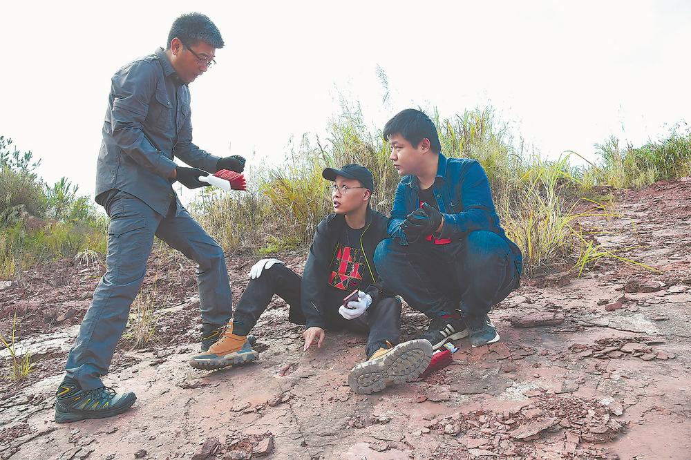 Ӣ��ʯ����Ȼ��ʷ����� һȺ�ػ������ݻ���ʷ��������