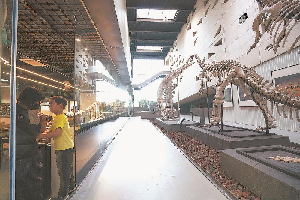 英良石材自然历史博物馆 一群守护地球演化历史的年轻人