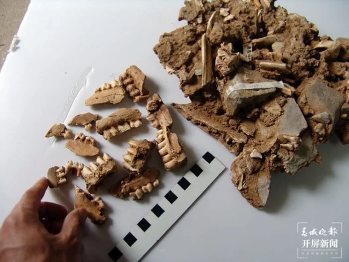 ����ʡ��ɽ��ʩ���غ�Ԫ�����ȫ���ڶ������Ƴｨ�����Ļ���