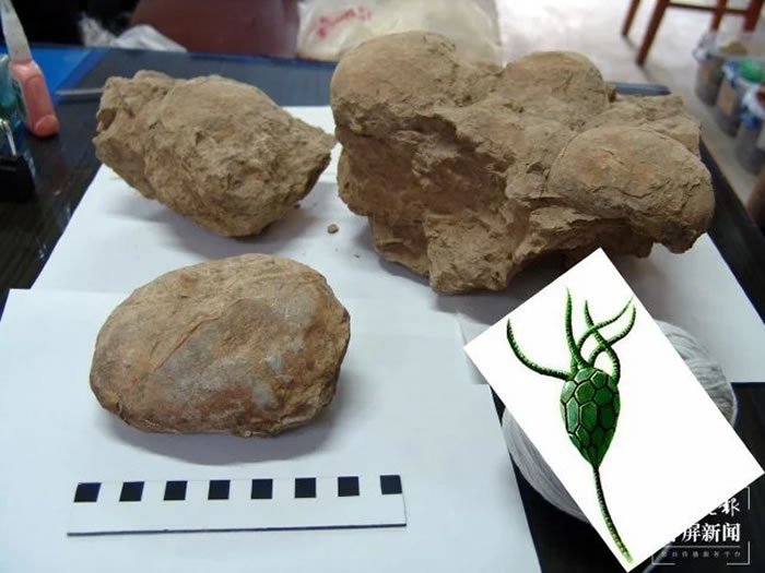 ����ʡ��ɽ��ʩ���غ�Ԫ�����ȫ���ڶ������Ƴｨ�����Ļ���