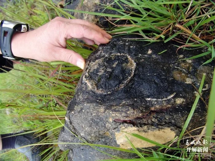 ����ʡ��ɽ��ʩ���غ�Ԫ�����ȫ���ڶ������Ƴｨ�����Ļ���