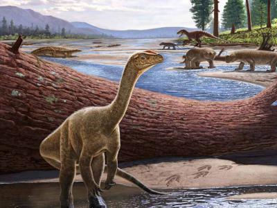 古生物学家在津巴布韦发现非洲迄今为止最古老的恐龙化石