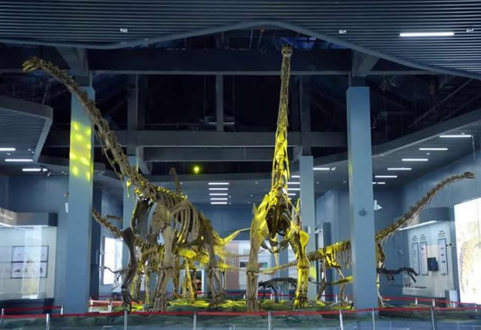 �Ӽ����������ȫ������